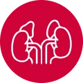 Adrenal Tumors icon
